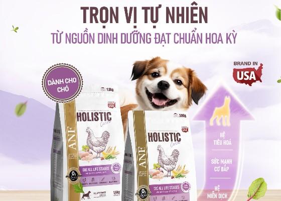 Dị ứng ở chó là gì?