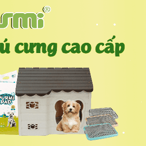 CTKM1 Demo 2_Có lũy tiến