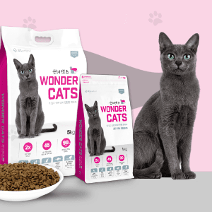 Test thứ tự áp dụng