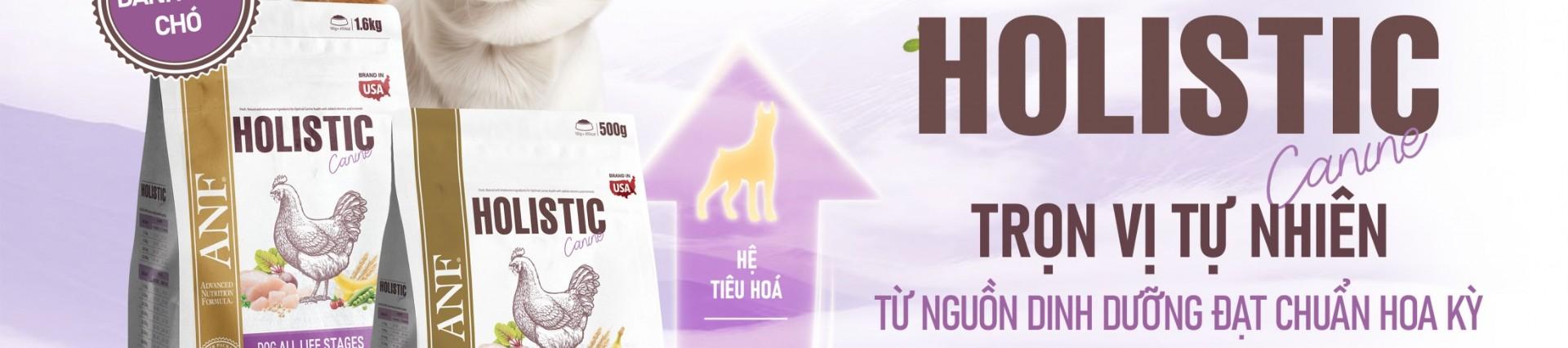 Banner background