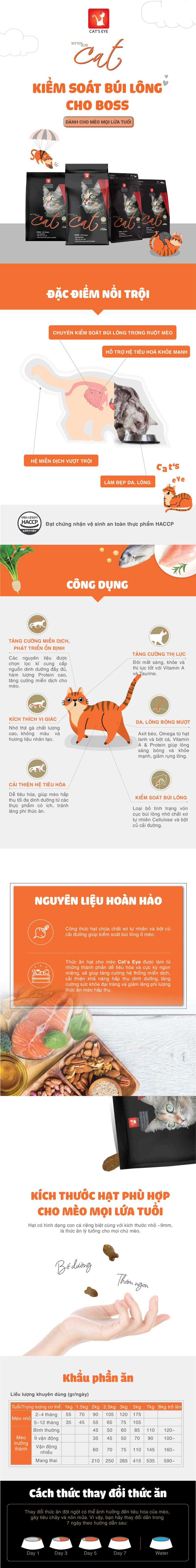 TỜ WEB CATS EYE_BO SUNG_1740555520.jpg